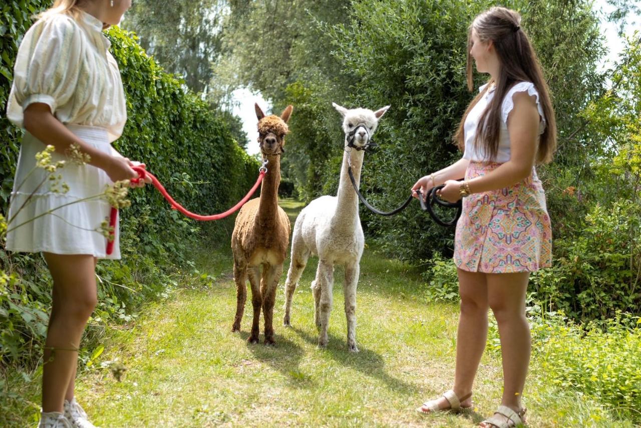 Recreatiepark De Markplas Opheusden エクステリア 写真