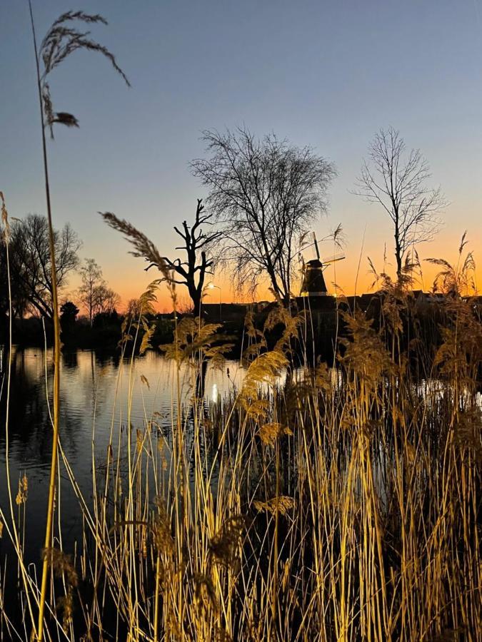 Recreatiepark De Markplas Opheusden エクステリア 写真